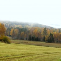 Utsikt från Aspbybacken oktober 2013 - foto av Ingela Staf Holmer