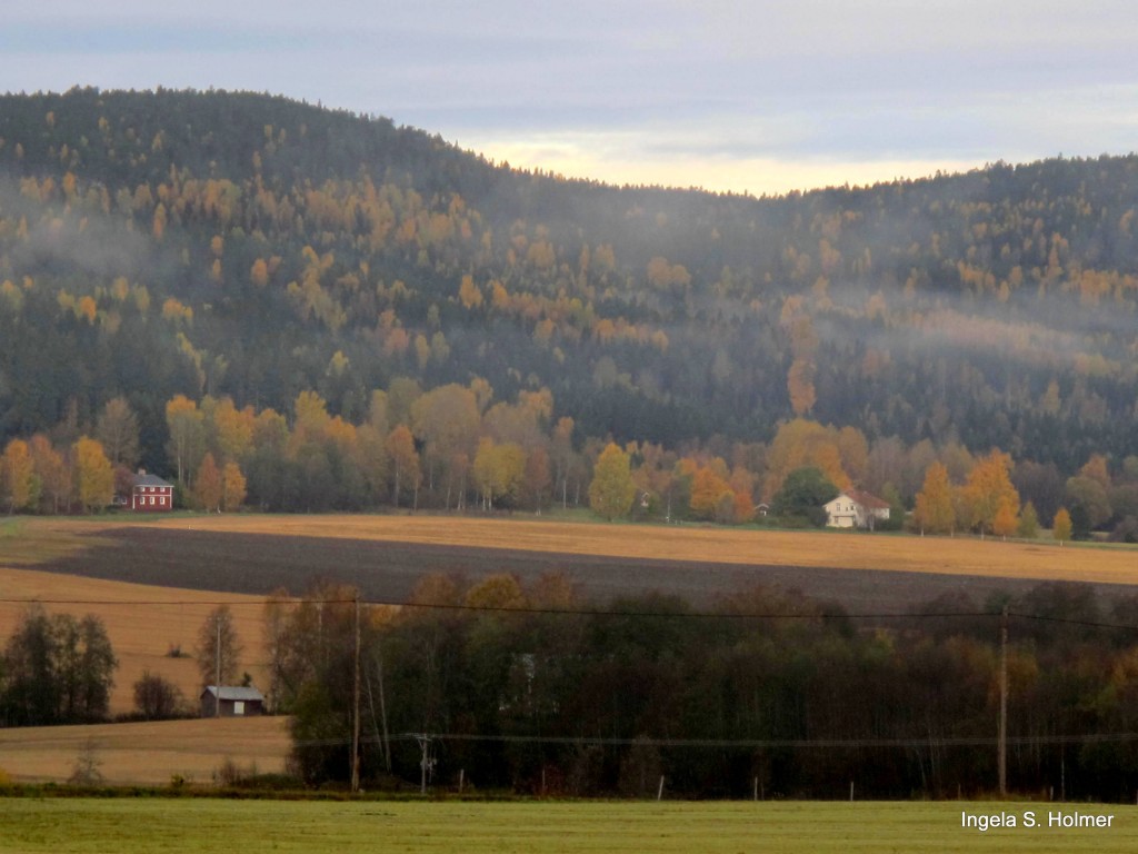Utsikt från Aspbybacken oktober 2013 - foto av Ingela Staf Holmer